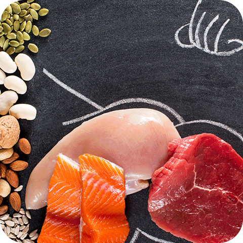 6 Ways How Protein Helps in Weight Loss